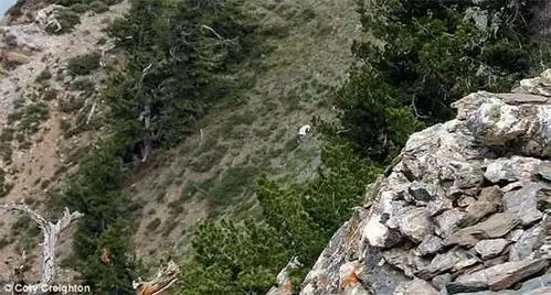 山羊人的恐怖传说真有这样的生物吗