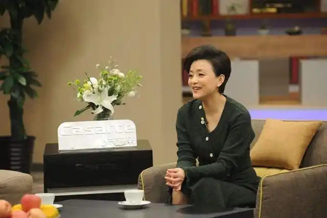 前往哥伦比亚留学; 留学归来,再重头做起,自己创办节目《杨澜访谈录》