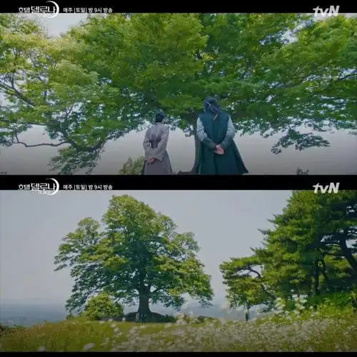 韩剧德鲁纳酒店拍摄景点top10酒店游乐园月灵树场景踩点去