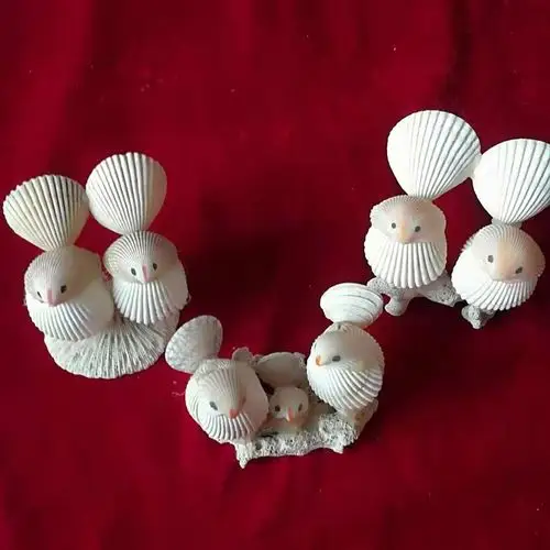 李洪海——贝壳作品