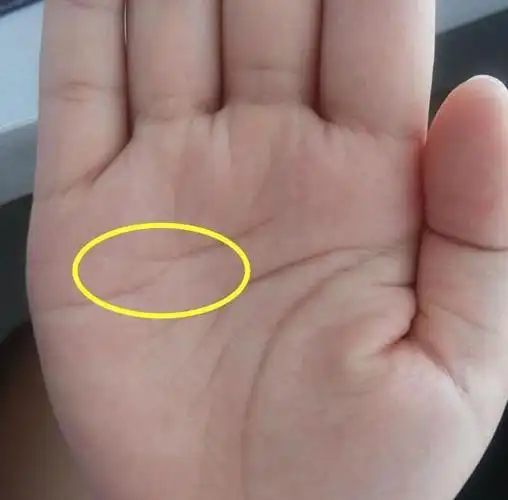 手相上感情线断开之人,也并不是代表一定会离婚