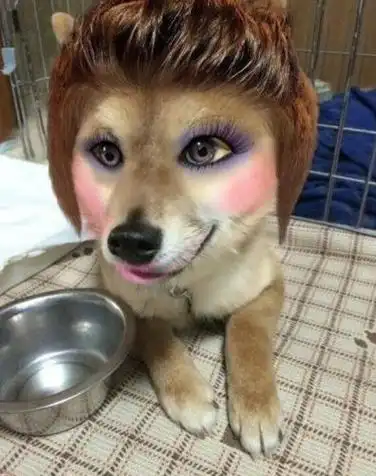 对搞笑信心满满