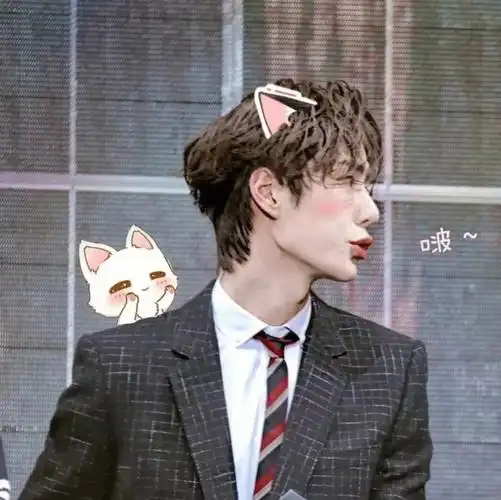 博肖情头第二弹