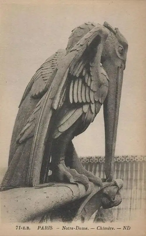 巴黎圣母院的怪兽