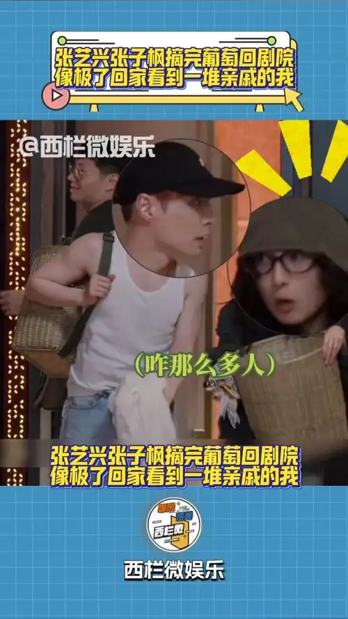 张艺兴张子枫摘完葡萄回剧院,像极了回家看到一堆亲戚的我