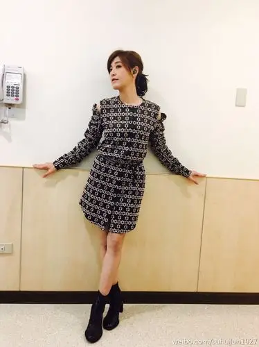 美女歌星苏慧伦的图集