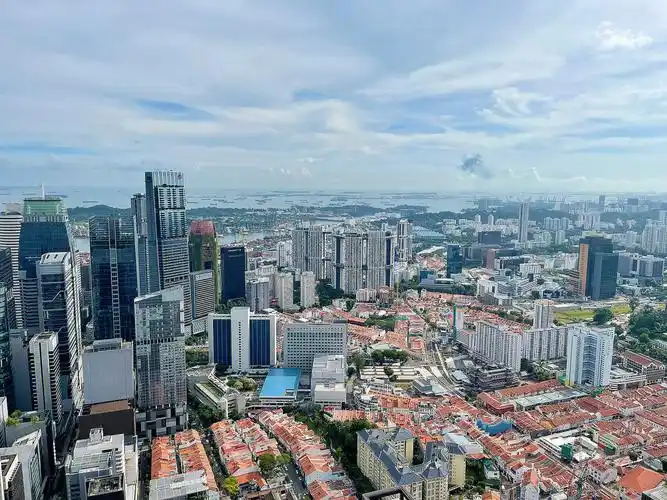 从空中花园俯瞰城市天际线