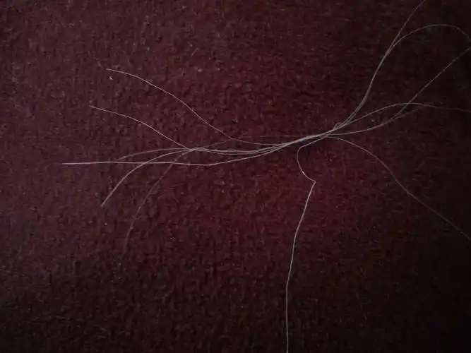 从妈妈头上拔下来的白发