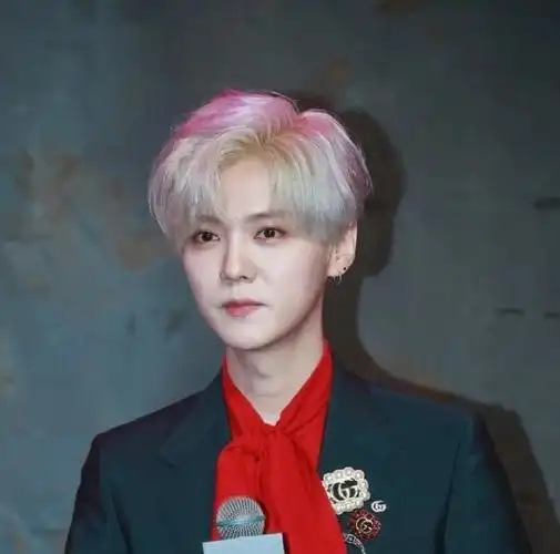 男星生图好养眼,鹿晗银色发型韩范十足,刘耀文的男模脸更绝