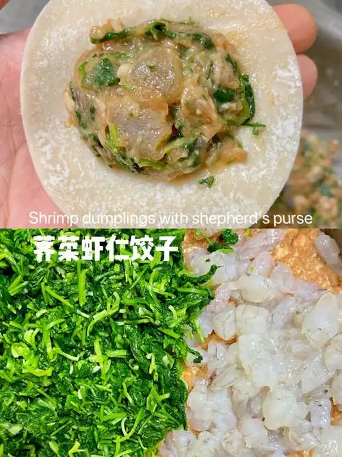 野菜饺子馅做法荠菜虾仁猪肉饺子虾仁馄饨