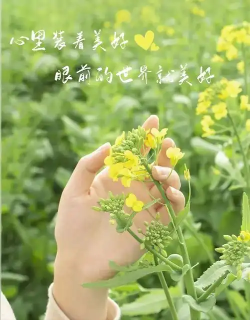 2022早安最火图片自然风景早上好图片带字