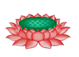 280_200gif 动态图 动图