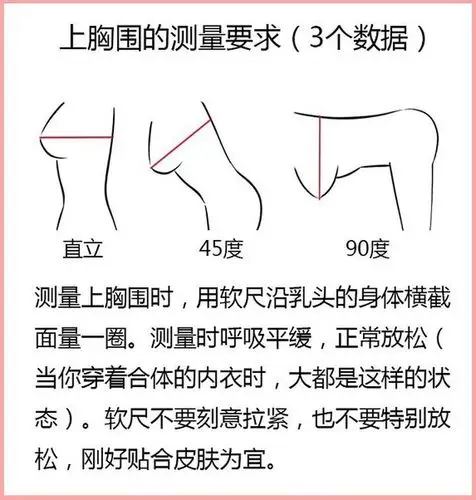 已测量胸围怎么知道自己穿多大的内衣