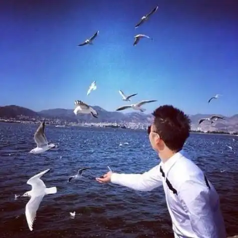 男生背影大海图片唯美图片头像图片