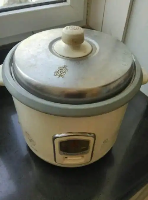 废旧电饭锅别再丢了吗?这6个用途真棒,我也是刚知道,回家找找