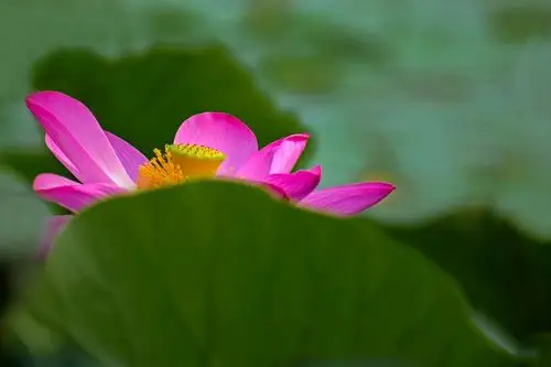 摄影的景深与画幅【原创】