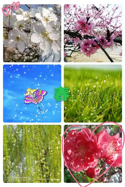 寻找春天的足迹