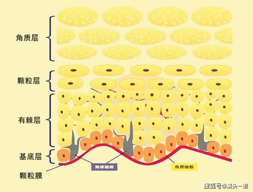 为什么我天天补水敷面膜脸反而更干更敏感皮肤变得更差了呢