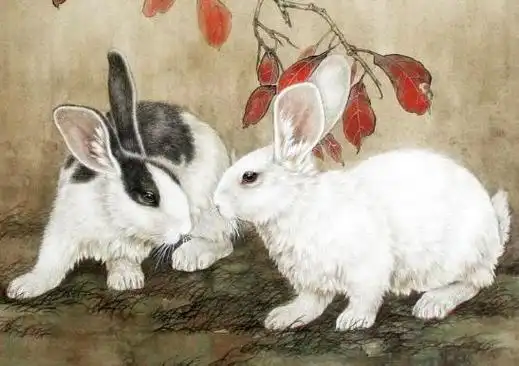 94狗和94狗属相配不配_狗属相和什么属相最配狗_看属相算命属马配狗