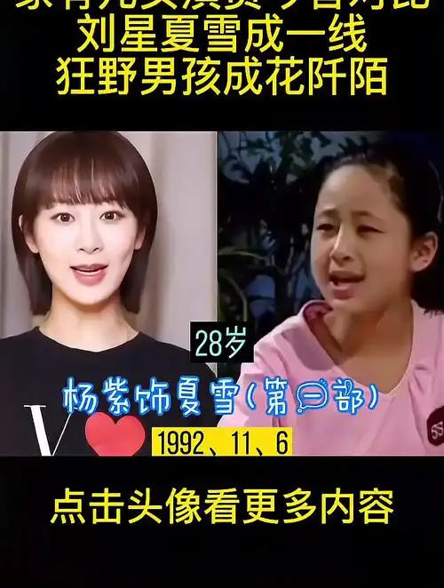 家有儿女演员今昔对比,刘星夏雪成一线,狂野男孩成花阡陌-度小视
