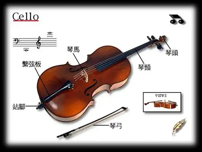 铝合金(带4个微调)指板:白木染黑背板:椴木材质:椴木名称:彩色大提琴