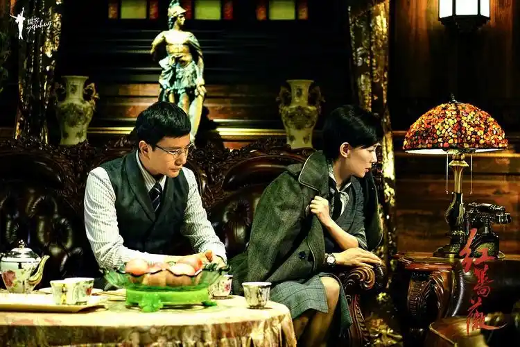 《红蔷薇》全集-电视剧-在线观看