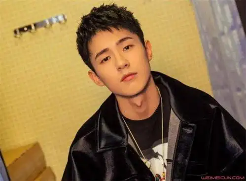 刘昊然五官分析 刘昊然脸型长相很奇怪但很抢眼