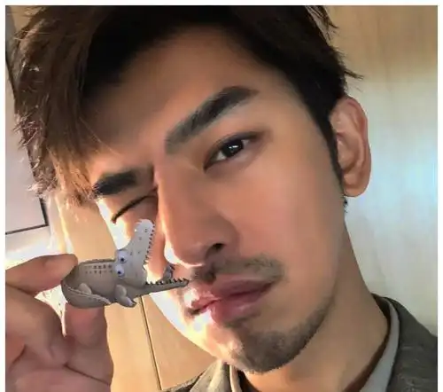 论直男自拍只服这5位明星,王源刘昊然上榜,网友:学学陈柏霖吧