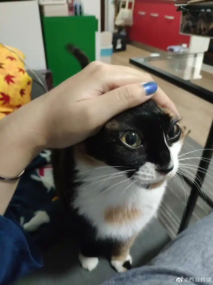 妈妈,头发扎得有点紧