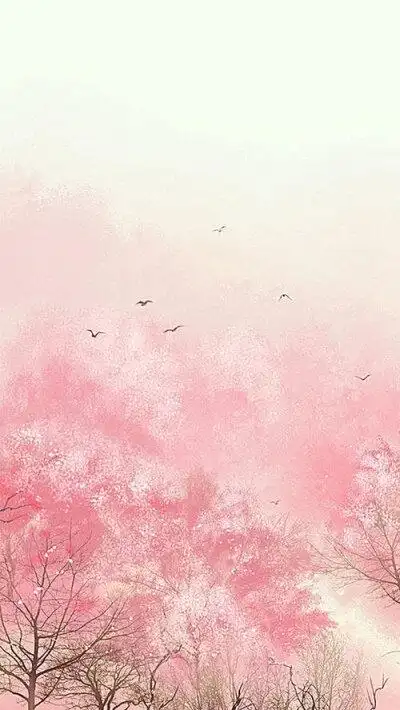 粉色樱花蓝色天空