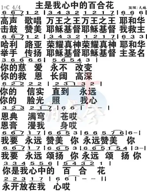第295首主是我心中的百合花简谱大字版