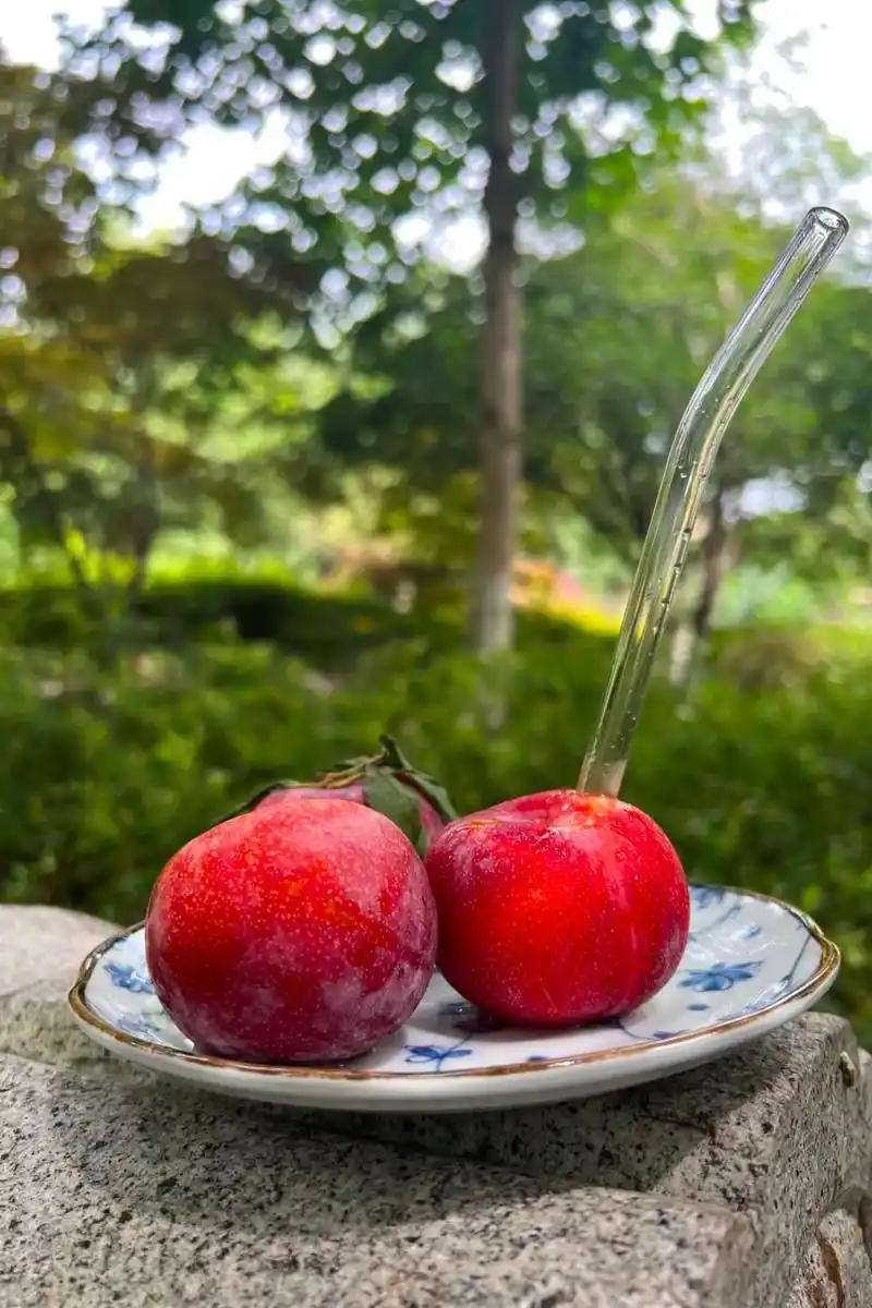 1080_1620竖版 竖屏