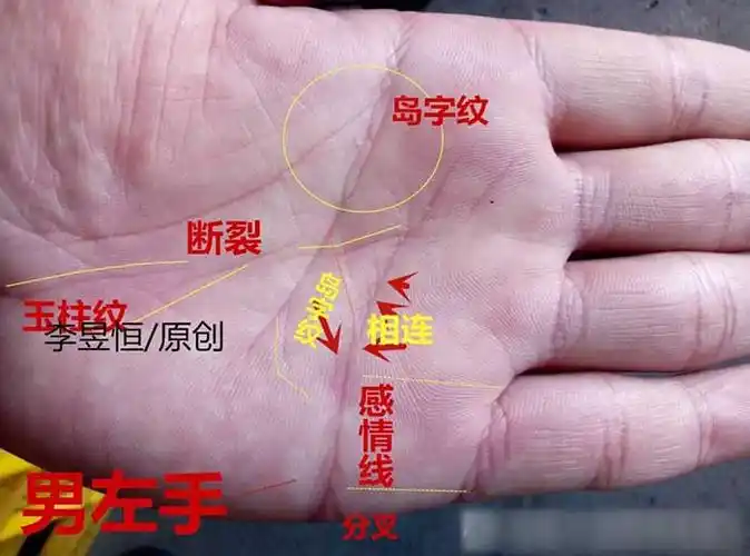 第四,三线深长,天纹和人纹纹理较乱,情感感情线分支过多,岛字纹明显