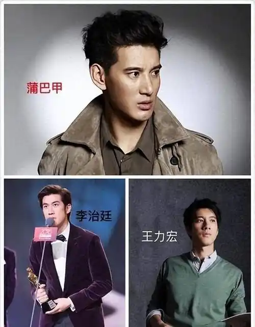 王力宏是才华横溢的音乐人,蒲巴甲是多才多艺的艺术家,李治廷是备受