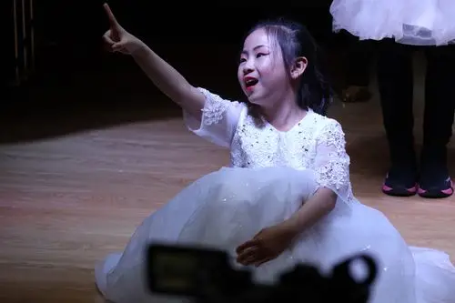 音乐会现场照片2019–01-27(续3)