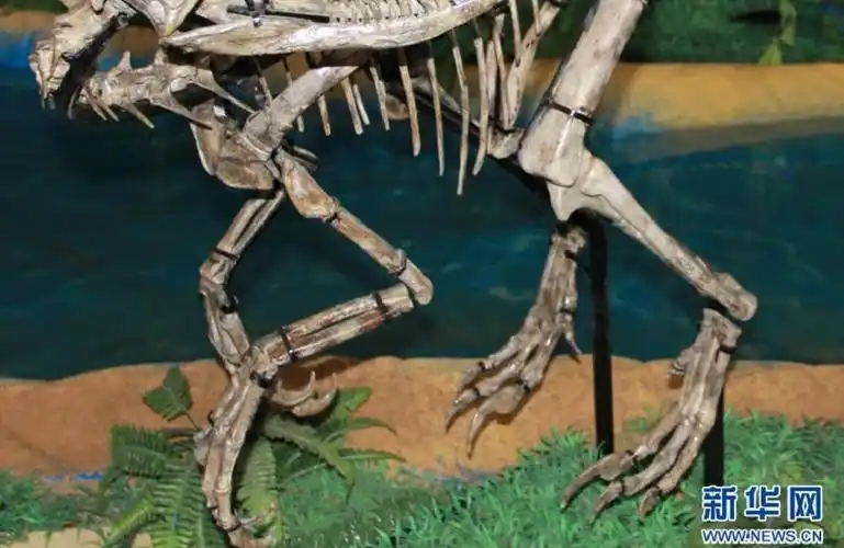 山东诸城发现小型兽脚类恐龙"赵氏怪脚龙"