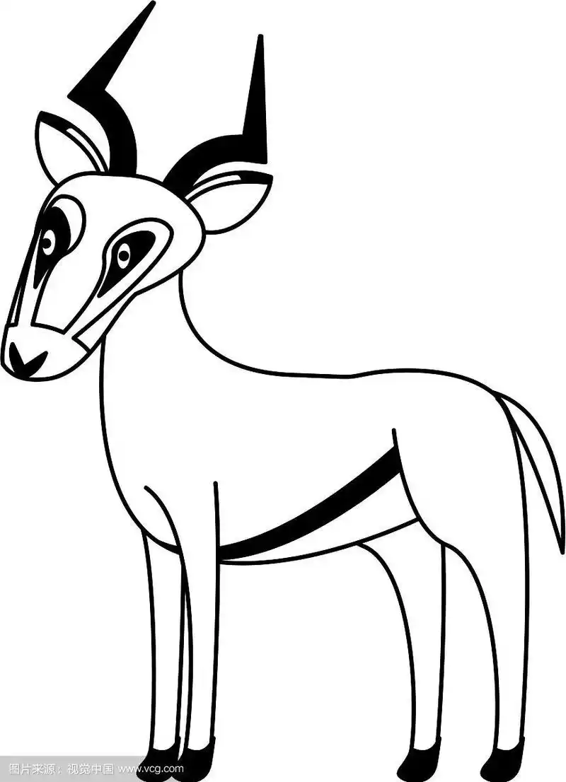 羚羊是一种野生动物,黑白相间