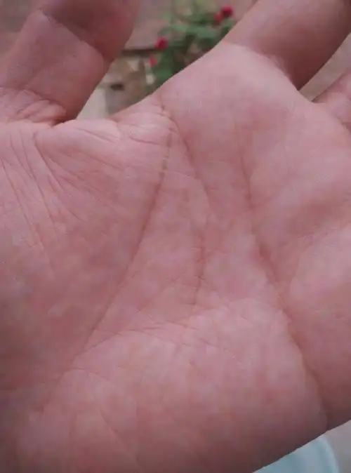 谁会看手掌啊.男生.左手