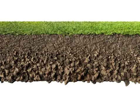 草和土壤剖面图片
