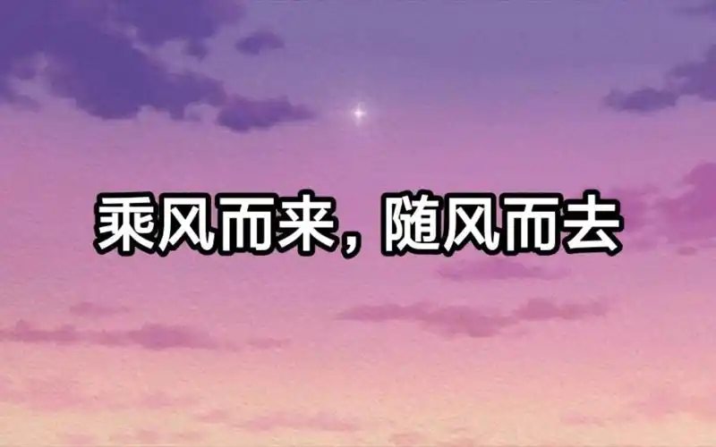 乘风而来,随风而去