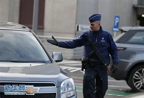 11月21日,在比利时首都布鲁塞尔国际机场,警察检查车辆.