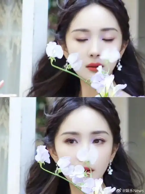 杨幂粉紫细闪眼妆