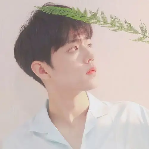 肖战清新图片_唯美男生头像图片_扣扣居