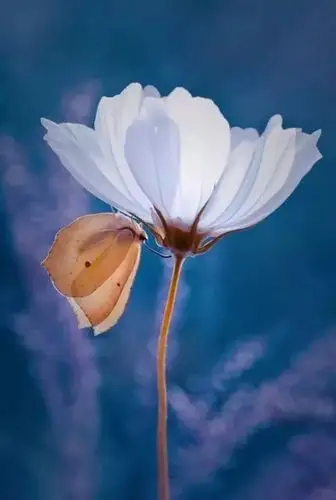 人到中年,感谢自己