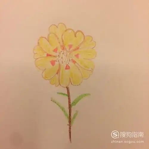 午时花怎么画最简单意思意思吧