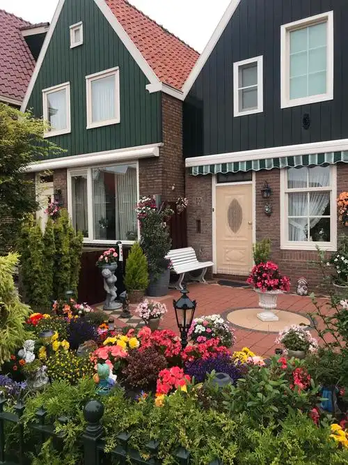 他们的小花园漂亮吧,羡慕吧.