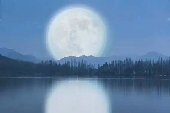 评论唯清风明月不改