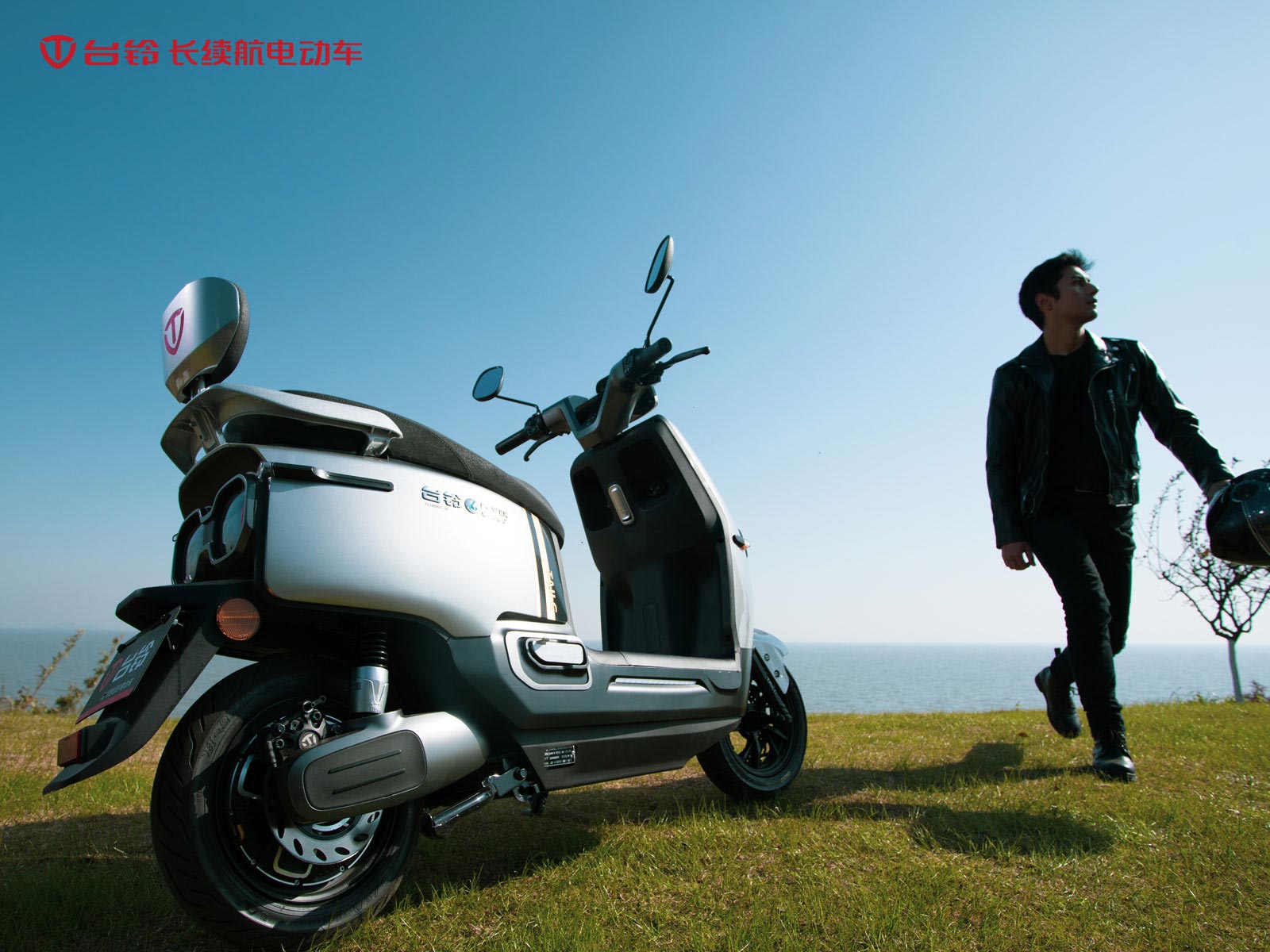 台铃长续航电动车
