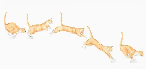 这种明显的连续性,能让人觉得,画面中好像真的有东西在动.