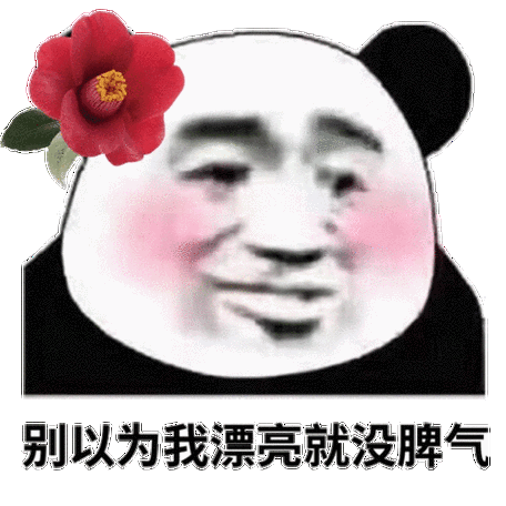 别以为我漂亮就没脾气熊猫头表情包